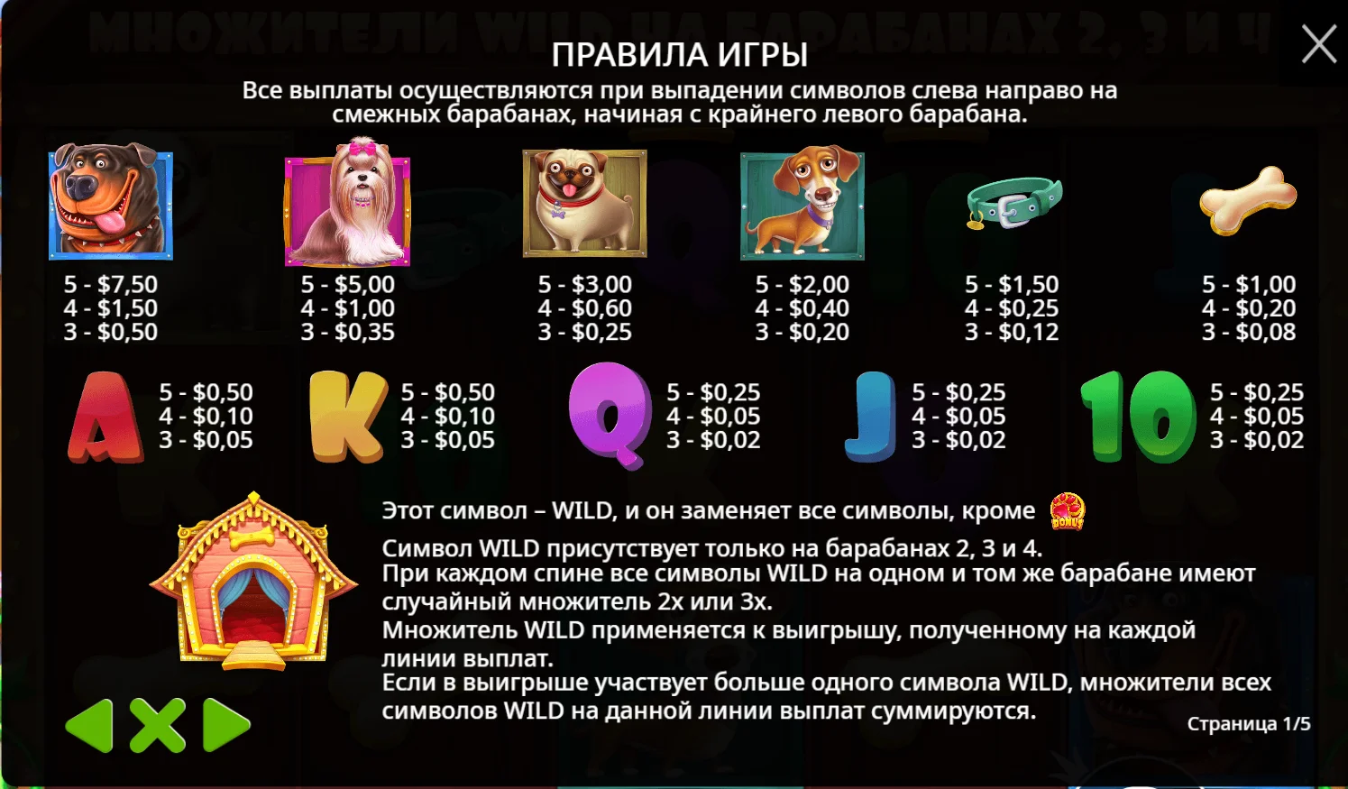 Символы Дог Хаус